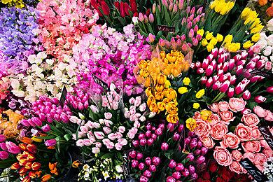 Paradox宣布《监狱建筑师2》开发商在合作9年后离开