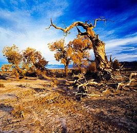 《验尸模拟器》PC配置公开 试玩版开放资格申请