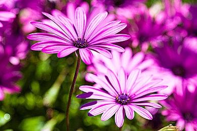 女神转生衍生作《魔神转生》确定制作 预定登陆PC＆Switch